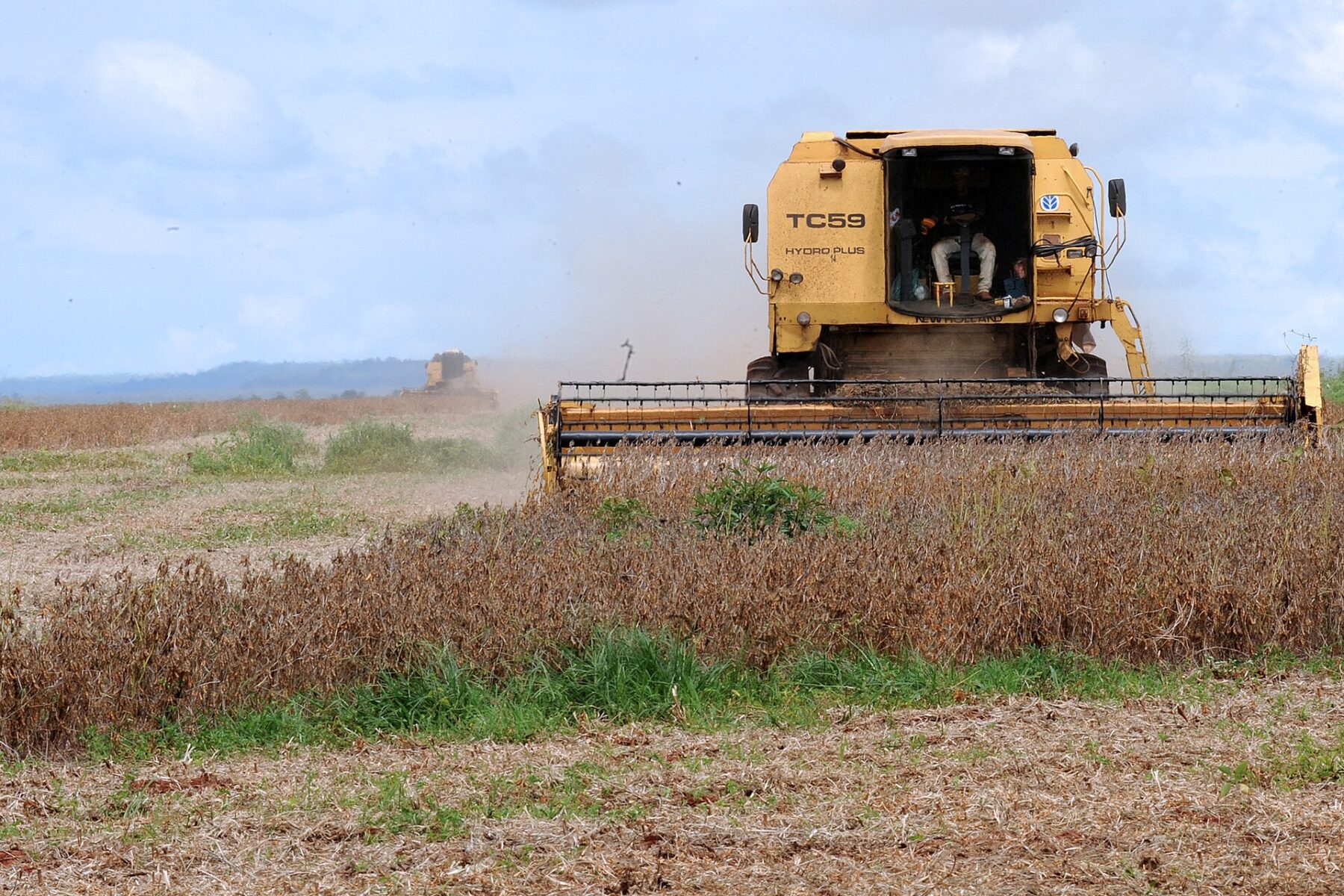 A yellow combine harvester cuts a field of dry brown soybean plants under a partly cloudy sky, with a second harvester in the distance