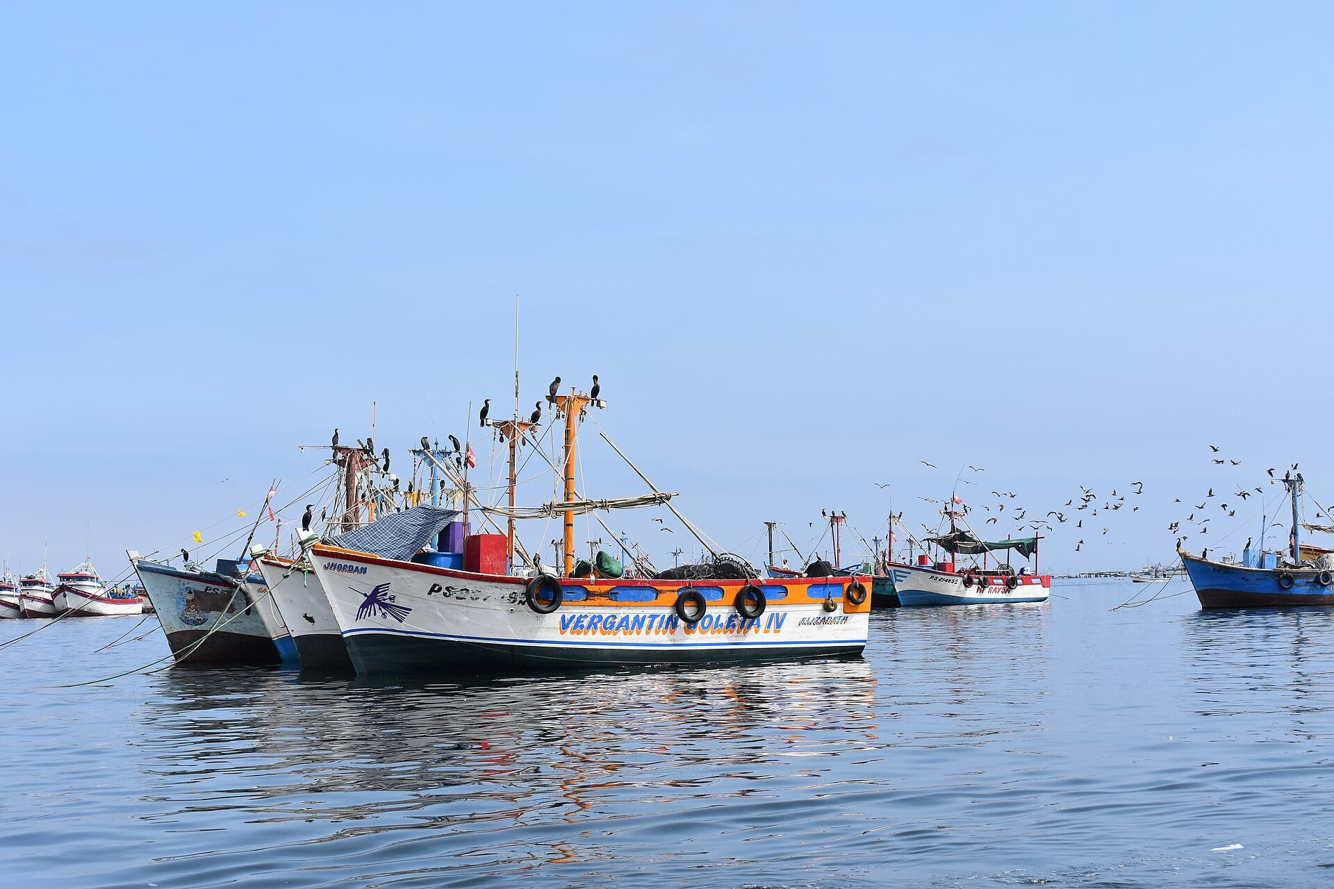 Fishing boats with cormorants on their masts moored in the harbour at Paracas under a clear blue sky, birds flying behind