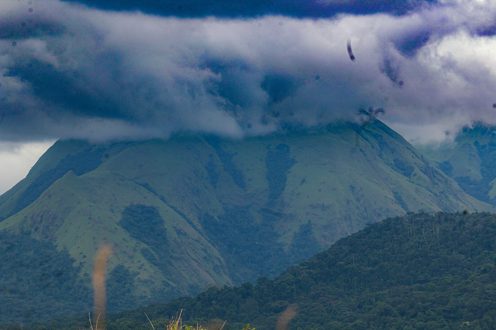 Green slopes of the Nimba mountains under heavy cloud, with forest in the foreground.