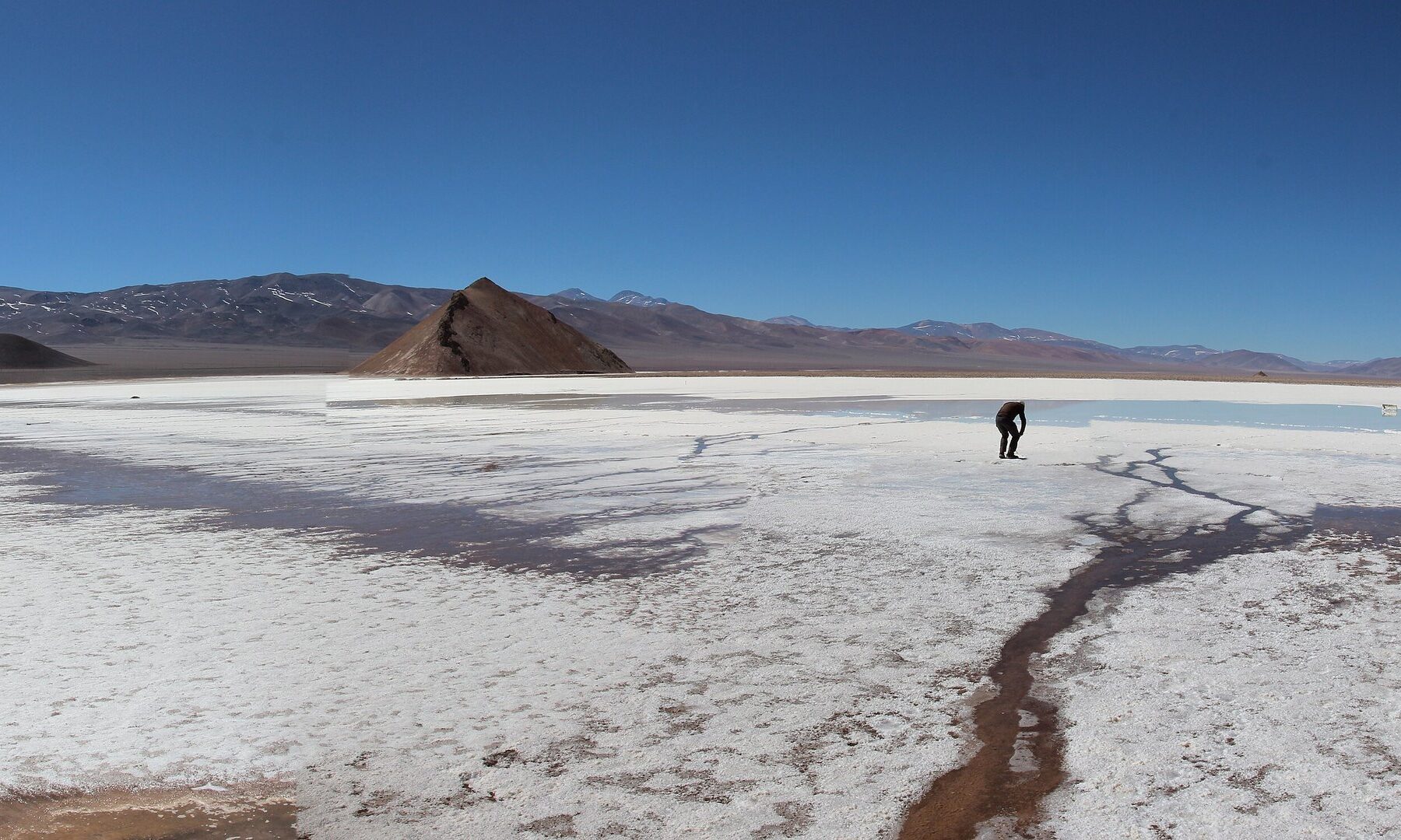 Salt crust and brine channels on the Salar de Maricunga, a lithium-bearing salt flat in Chile's Atacama region