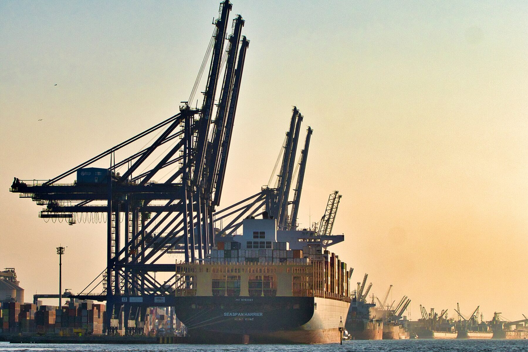 A large container ship loading beside tall dockside cranes in the port of Paranaguá, Brazil, in warm evening light