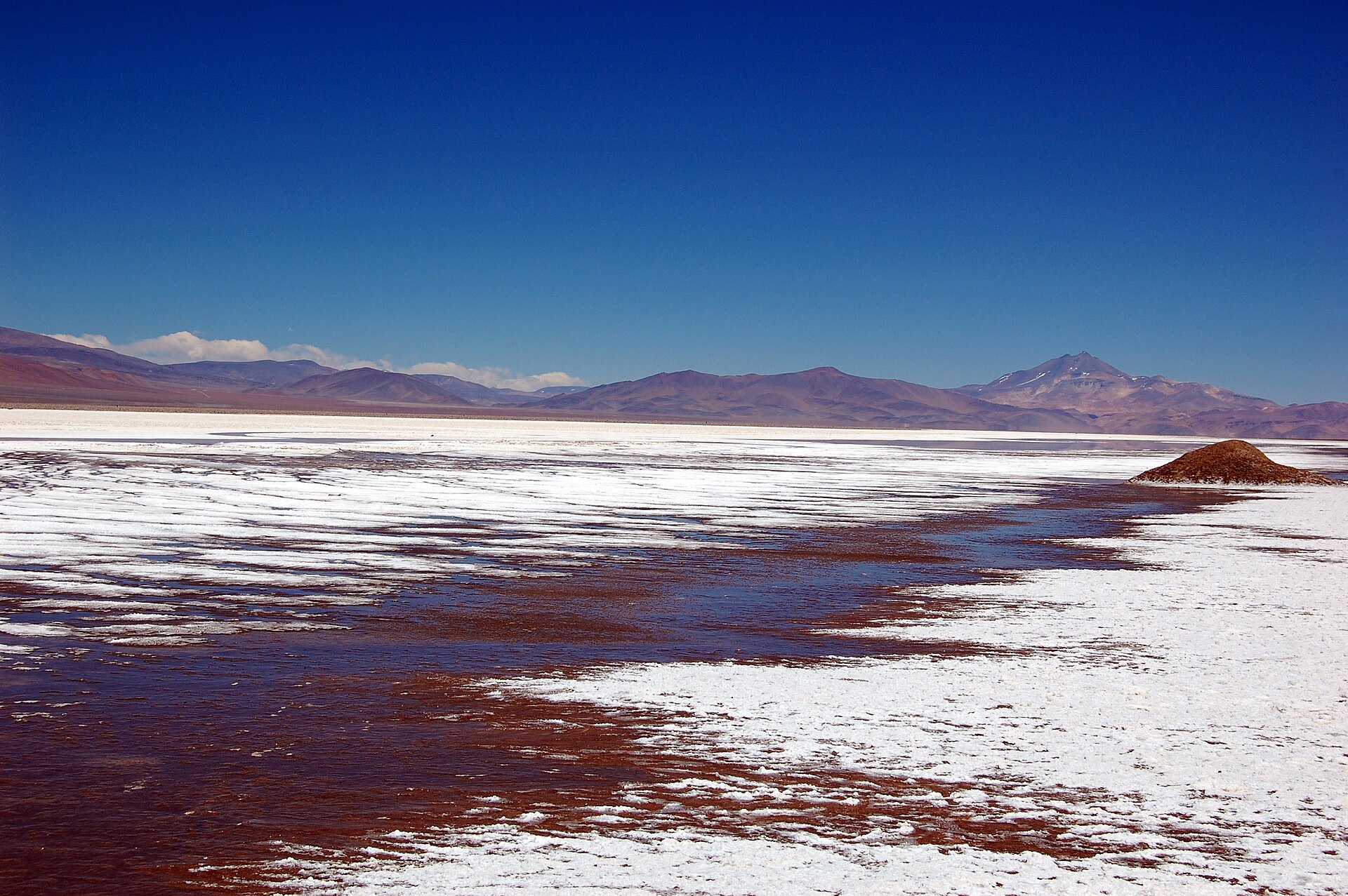 A shallow brine channel and white salt crust on the Salar de Maricunga in Chile's Atacama Region, with Andean mountains under a deep blue sky