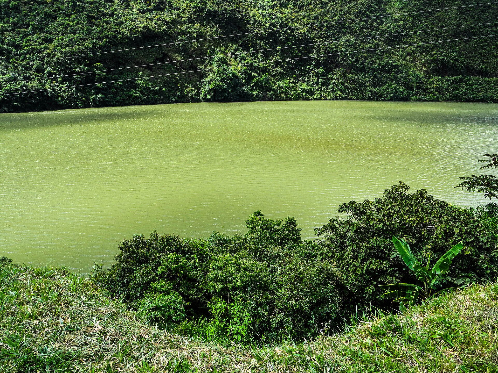 A green reservoir surrounded by forested hillsides with power lines strung across the top of the frame