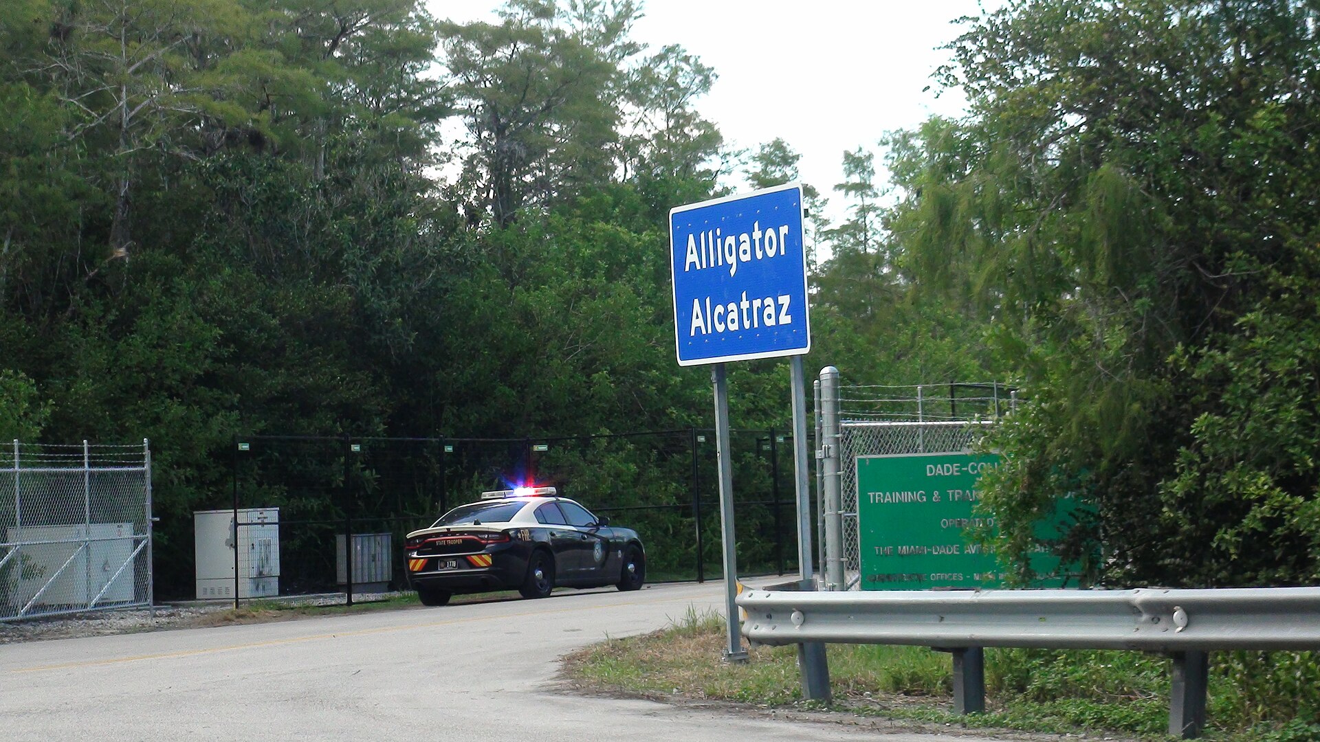 Blue roadside sign reading Alligator Alcatraz beside a fenced road in Florida woodland, with a police car with flashing lights behind it