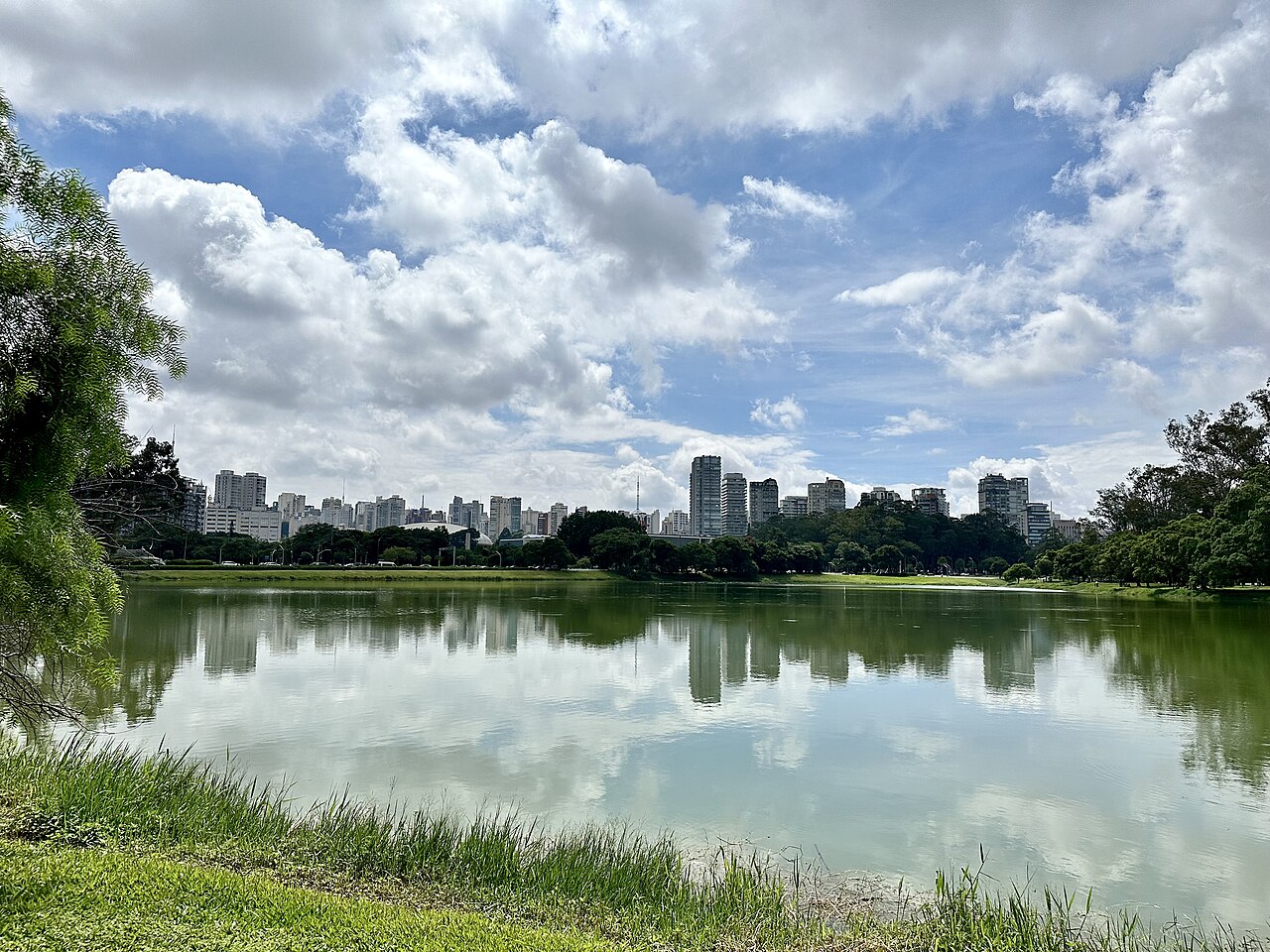 A lake in Ibirapuera Park in São Paulo, with green grass in the foreground and a line of apartment towers reflected in the water under a cloudy blue sky.