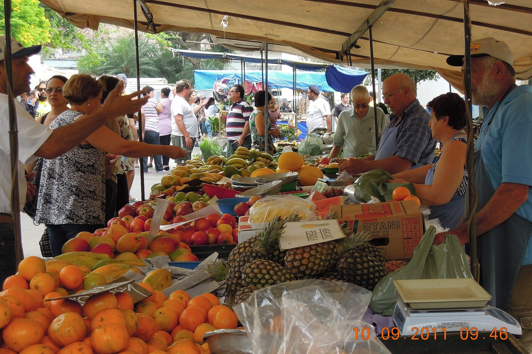Shoppers and vendors at a covered street market stall piled with oranges, pineapples and tomatoes