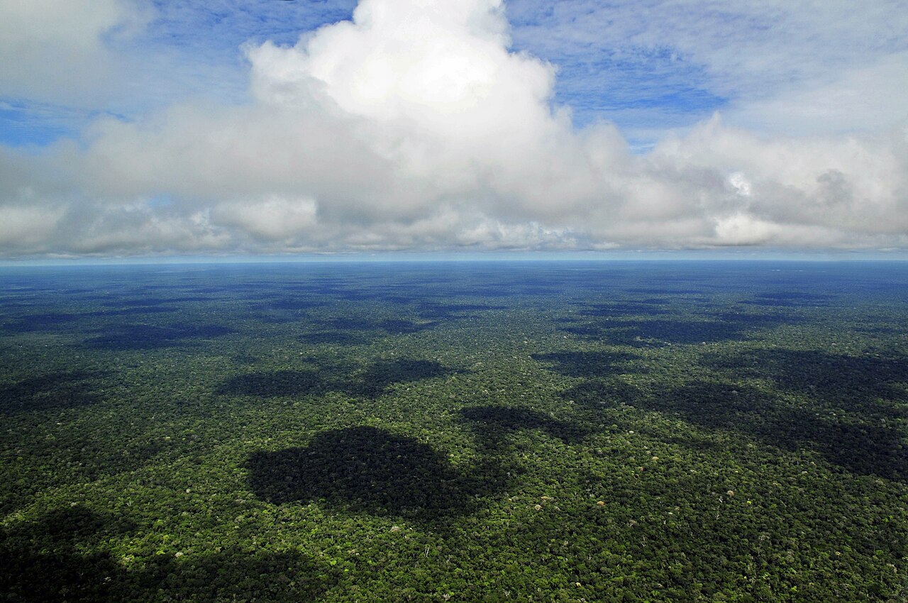 Aerial view of unbroken green Amazon rainforest stretching to the horizon under white clouds near Manaus