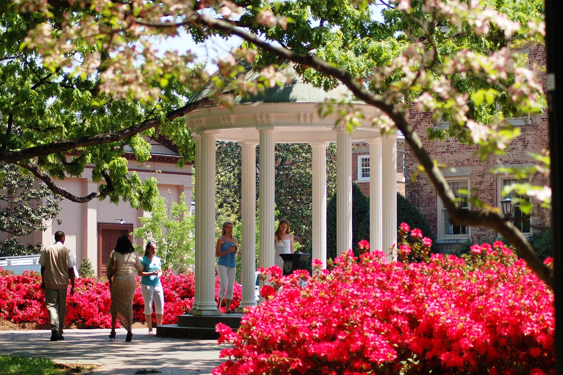 A white columned domed pavilion on a university campus, surrounded by blossoming trees and red azaleas, with students walking past