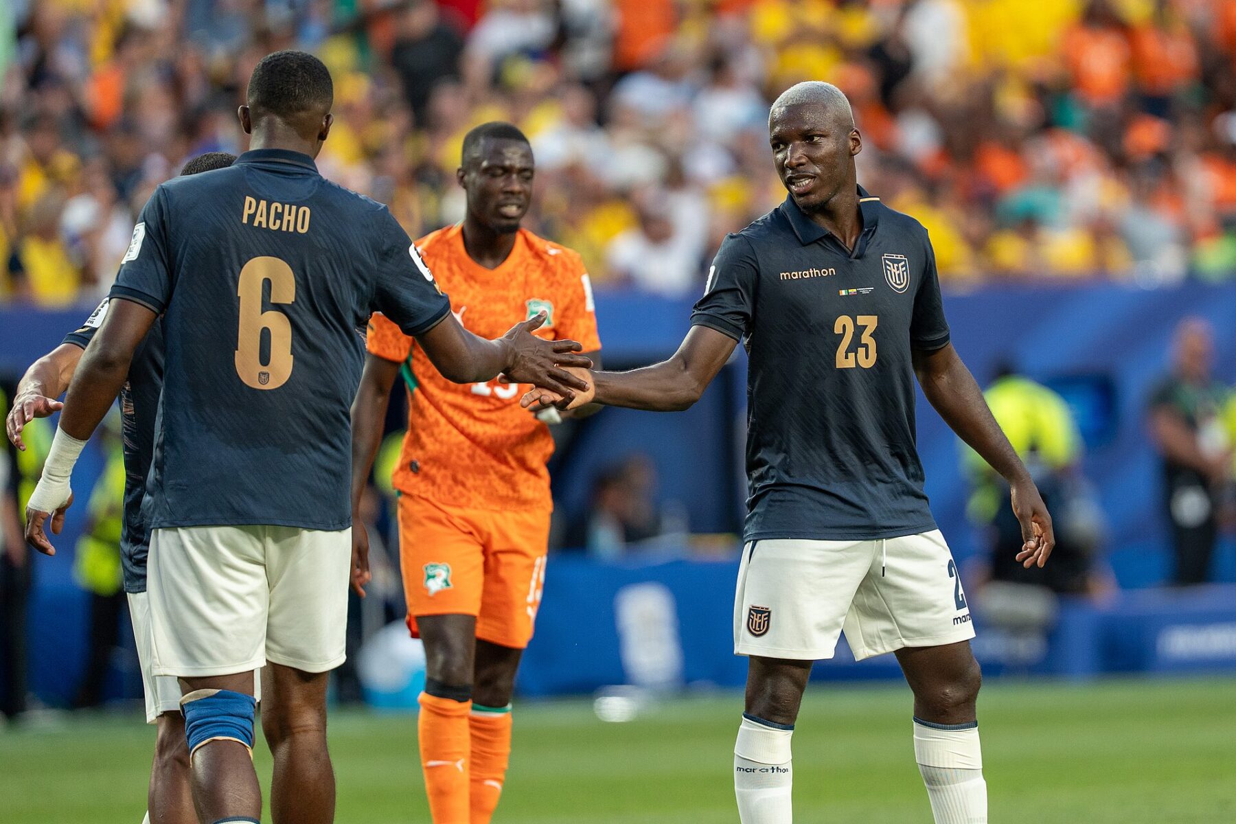 Ecuador players Willian Pacho (number 6, back to camera) and Moisés Caicedo (number 23) greet each other on the pitch with an Ivory Coast player in orange behind