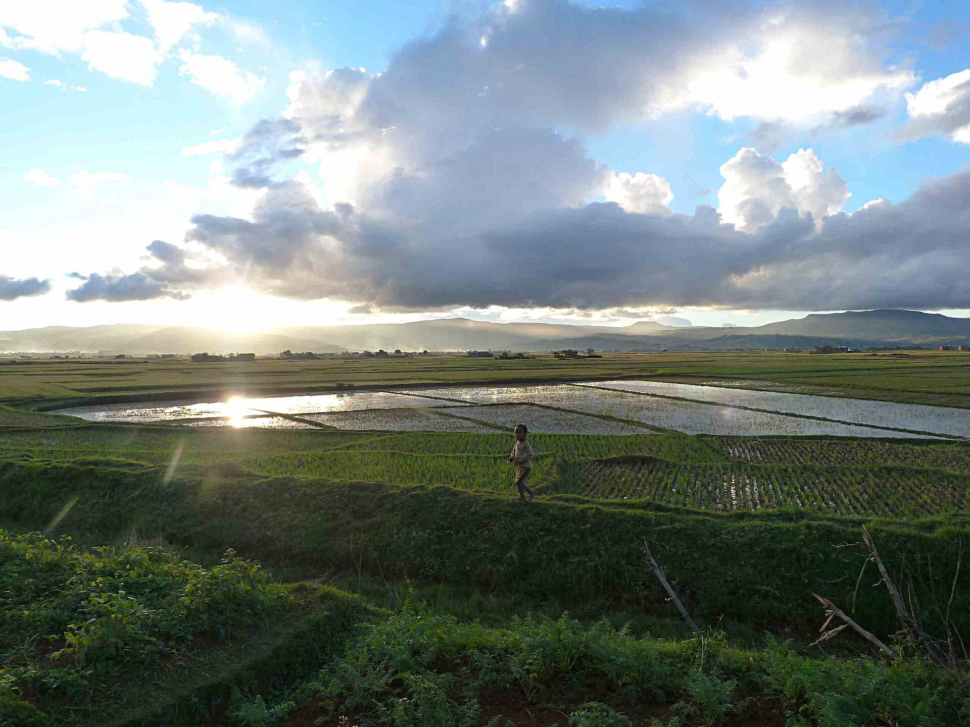 Rice paddies near Antsirabe in the Madagascar highlands under a large cloud at sunset