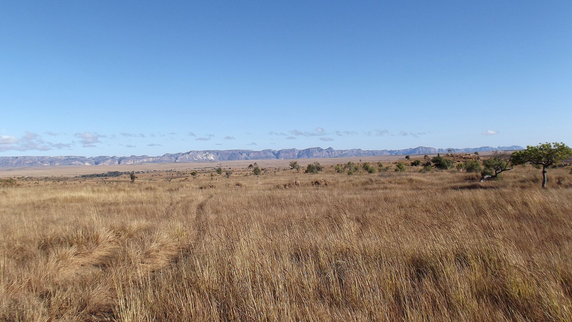 Dry grassland along the RN7 between Ranohira and Ihosy in southern Madagascar, with the Isalo massif on the horizon