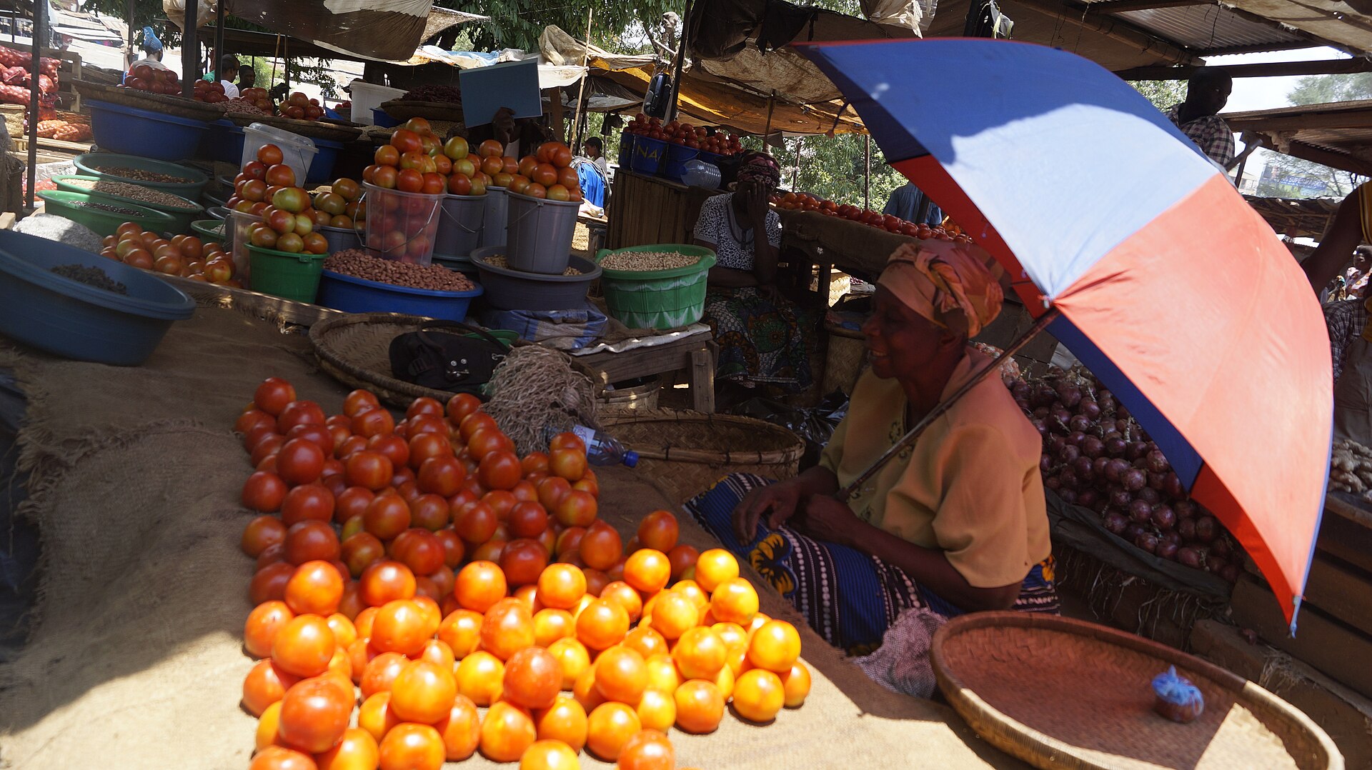 A woman under a red and blue umbrella sells piles of tomatoes and onions at a market stall in Malawi
