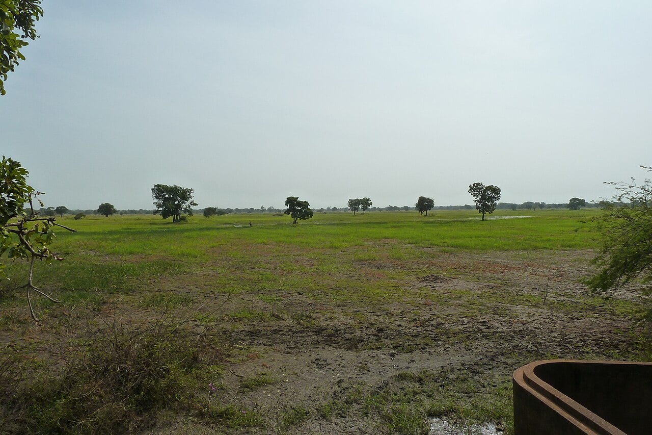 Mali Draft Budget Cuts Rural Support Programme 41%