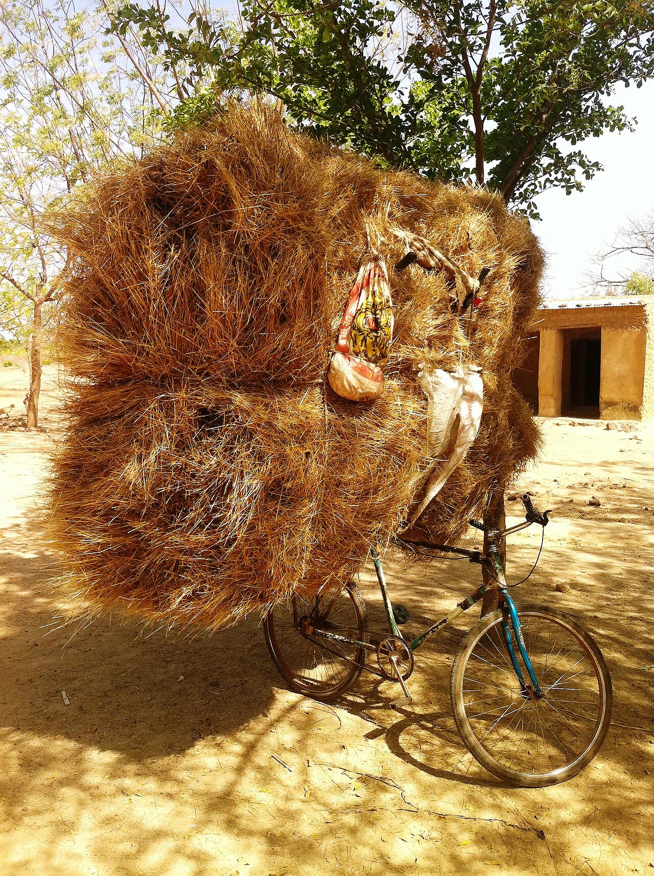 A bicycle loaded with a huge bundle of dry hay, parked under a tree beside a mud-brick house in a Malian village