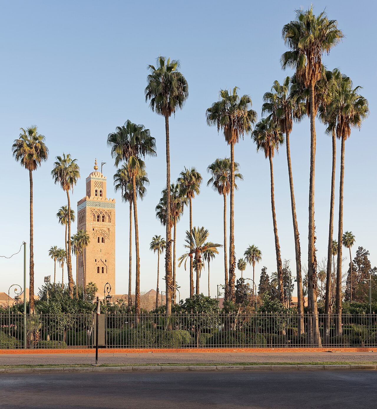 The sandstone minaret of the Koutoubia Mosque in Marrakech rising behind tall palm trees and a fenced garden beside an empty street in morning light.