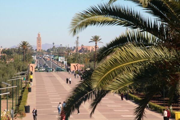 A wide pedestrian promenade lined with palm trees at the Menara Garden in Marrakech, with traffic beyond and the Koutoubia minaret and Atlas mountains on the horizon.