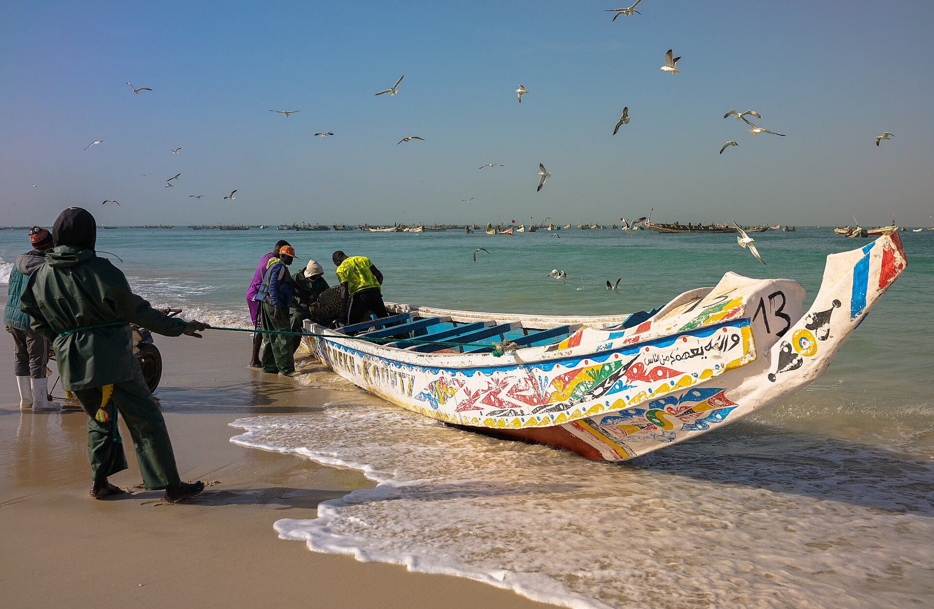 Fishermen pull a painted wooden pirogue onto the beach at Nouakchott as gulls circle overhead