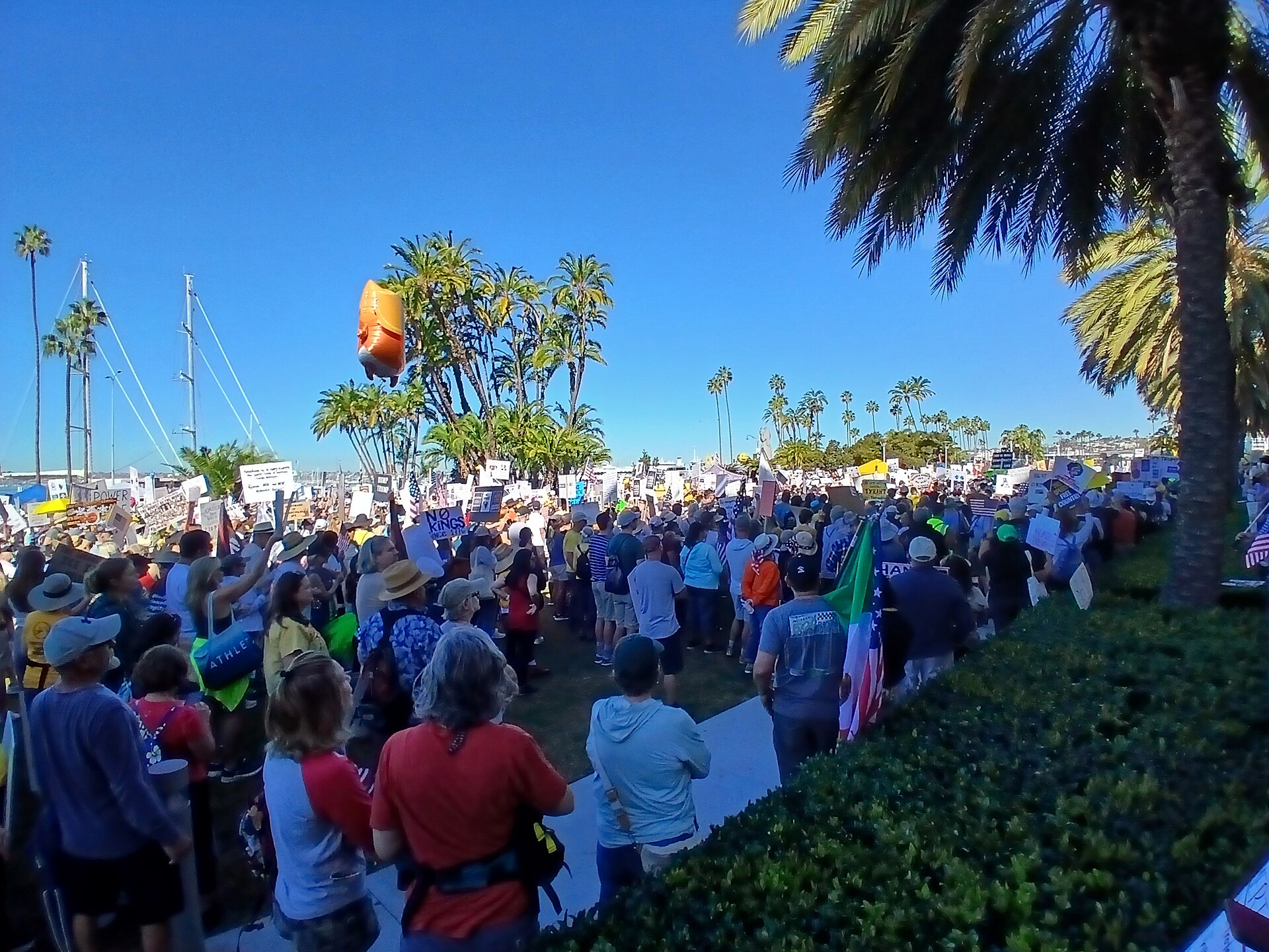 Crowd at a No Kings Day rally beside palm trees and a marina in San Diego, California, with signs, flags and an orange balloon above the crowd