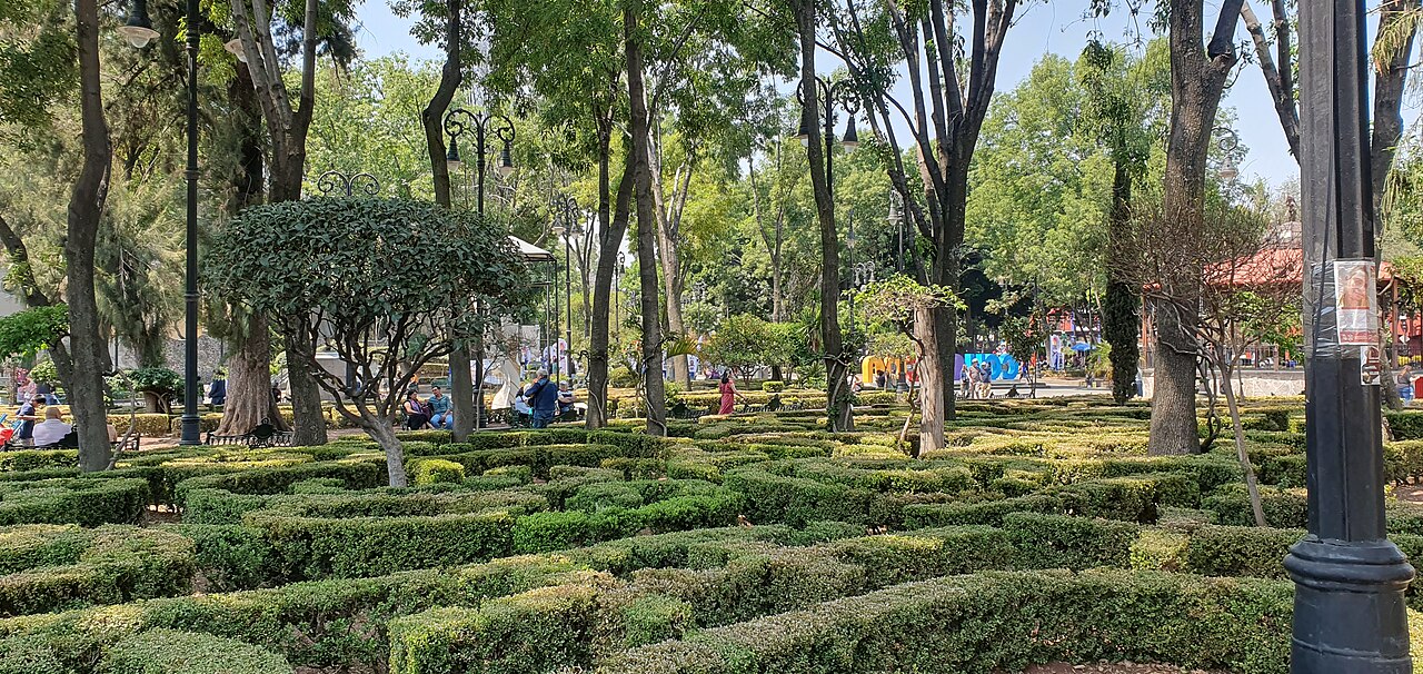 Trimmed hedges and tall trees in the Plaza Jardín Hidalgo garden in Coyoacán, Mexico City, with people on benches.