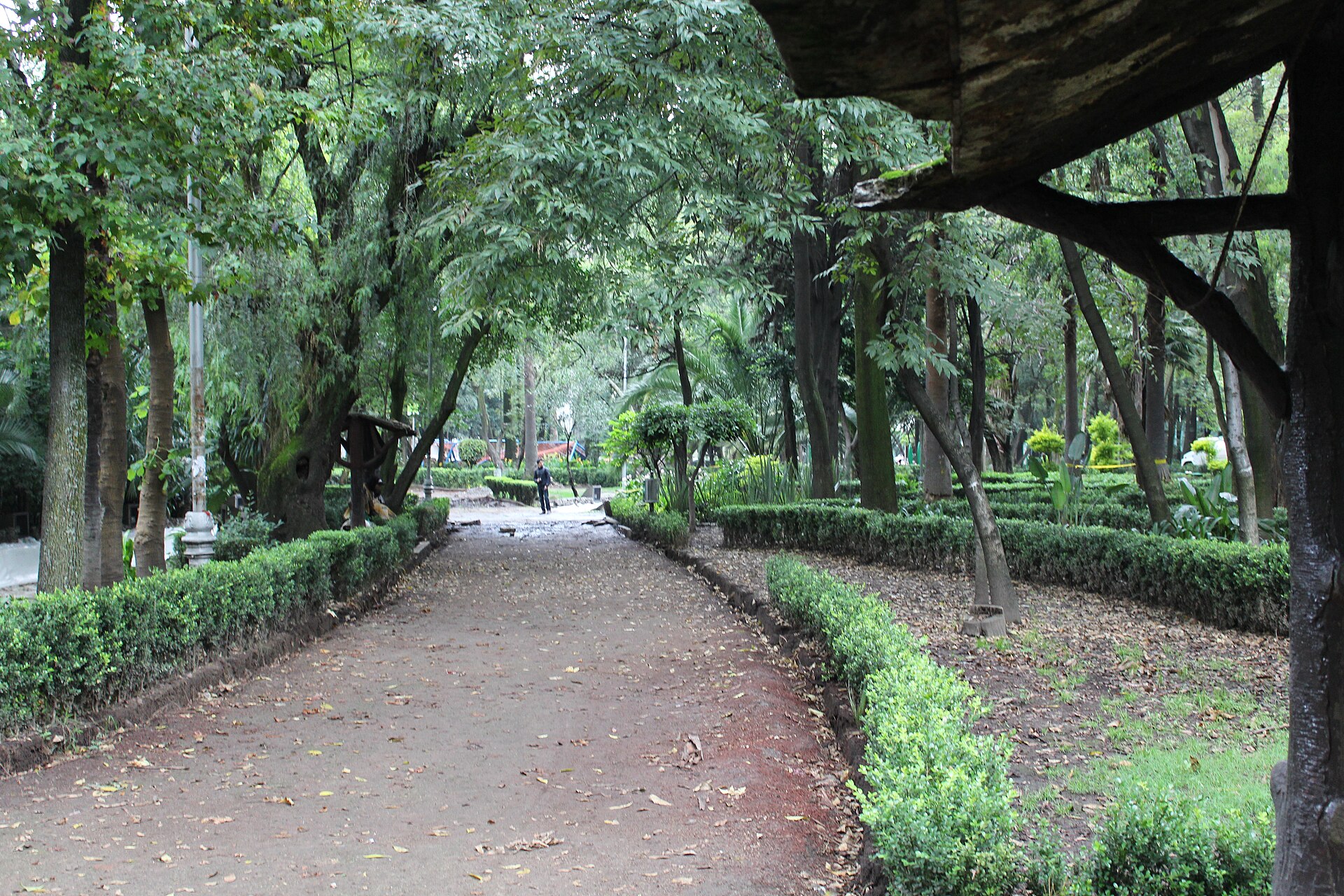A shaded gravel path between hedges and trees in Parque México, Mexico City