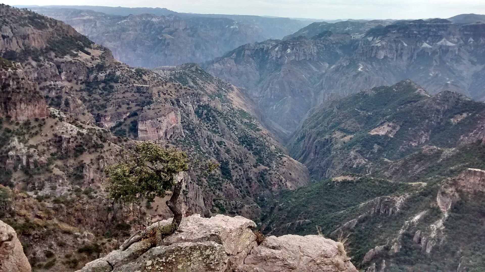 Barrancas del Cobre canyons in the Sierra Tarahumara, Chihuahua, Mexico