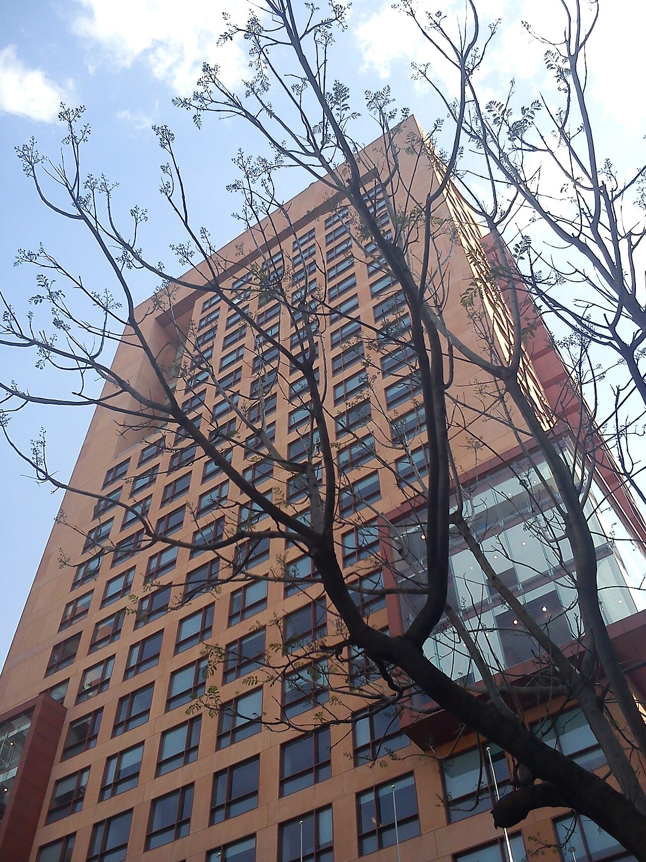 Terracotta-coloured high-rise headquarters of Mexico's Foreign Ministry in Mexico City, seen from below through bare tree branches