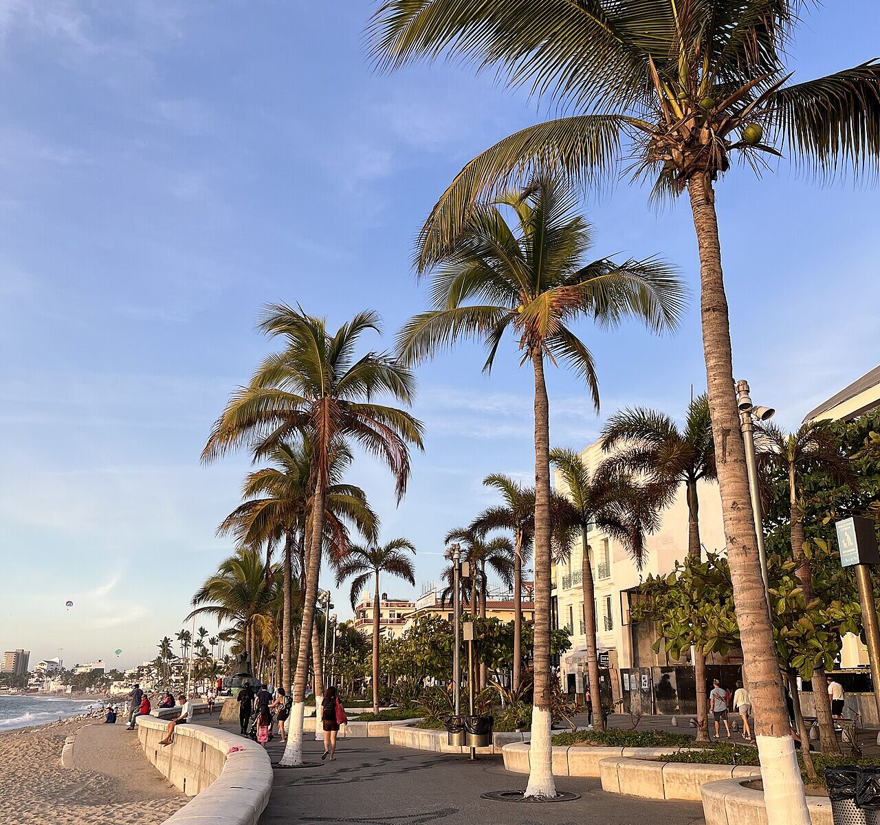 Palm-lined Malecón seafront promenade in Puerto Vallarta with people walking beside the beach and low hotels in the distance