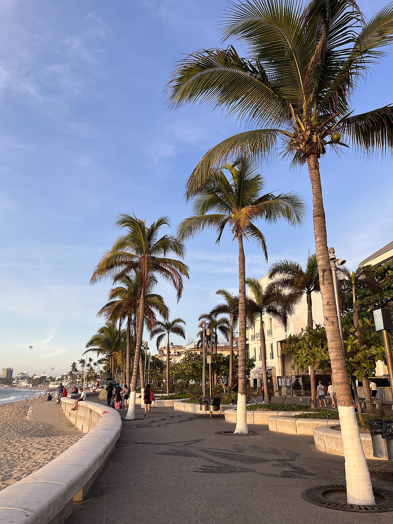 Palm-lined Malecón seafront promenade in Puerto Vallarta with people walking beside the beach and low hotels in the distance