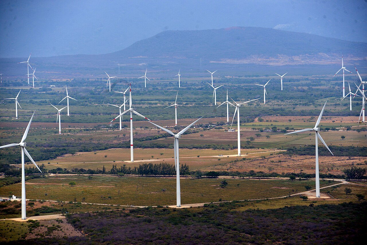 Rows of wind turbines across farmland at the Sureste I wind farm in Asunción Ixtaltepec, Oaxaca, Mexico