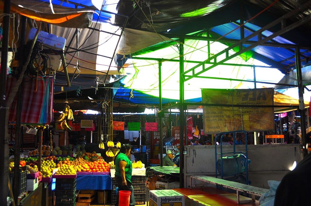 A woman in a green shirt walks past fruit stalls under tarpaulin roofs at the central market of Tepoztlán, Morelos