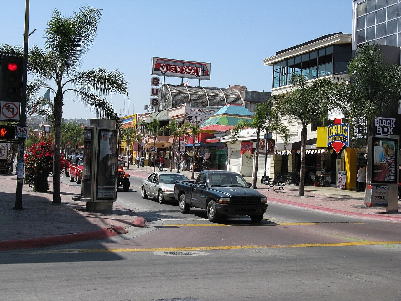 Traffic and palm trees on Avenida Revolución in central Tijuana, Baja California, Mexico