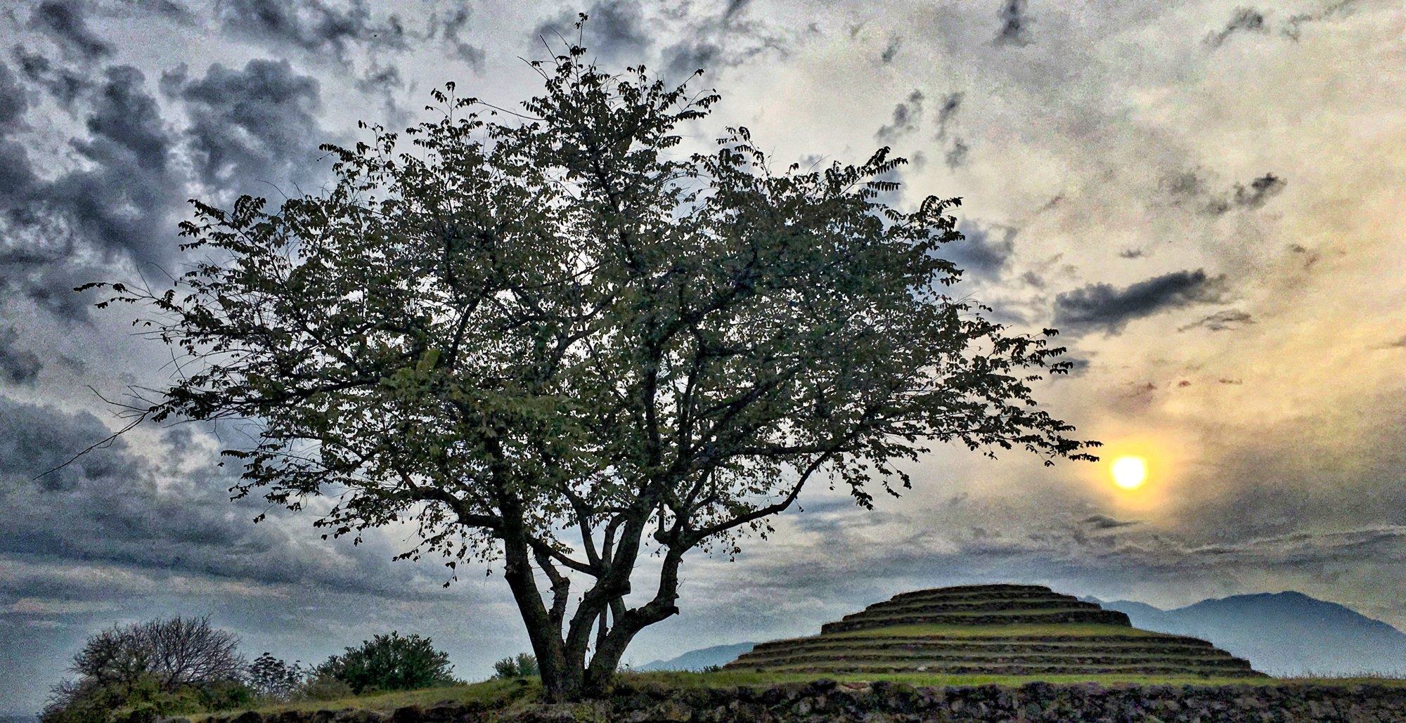 A tree and a stepped pyramid under a cloudy sky at Guachimontones in Teuchitlán, Jalisco