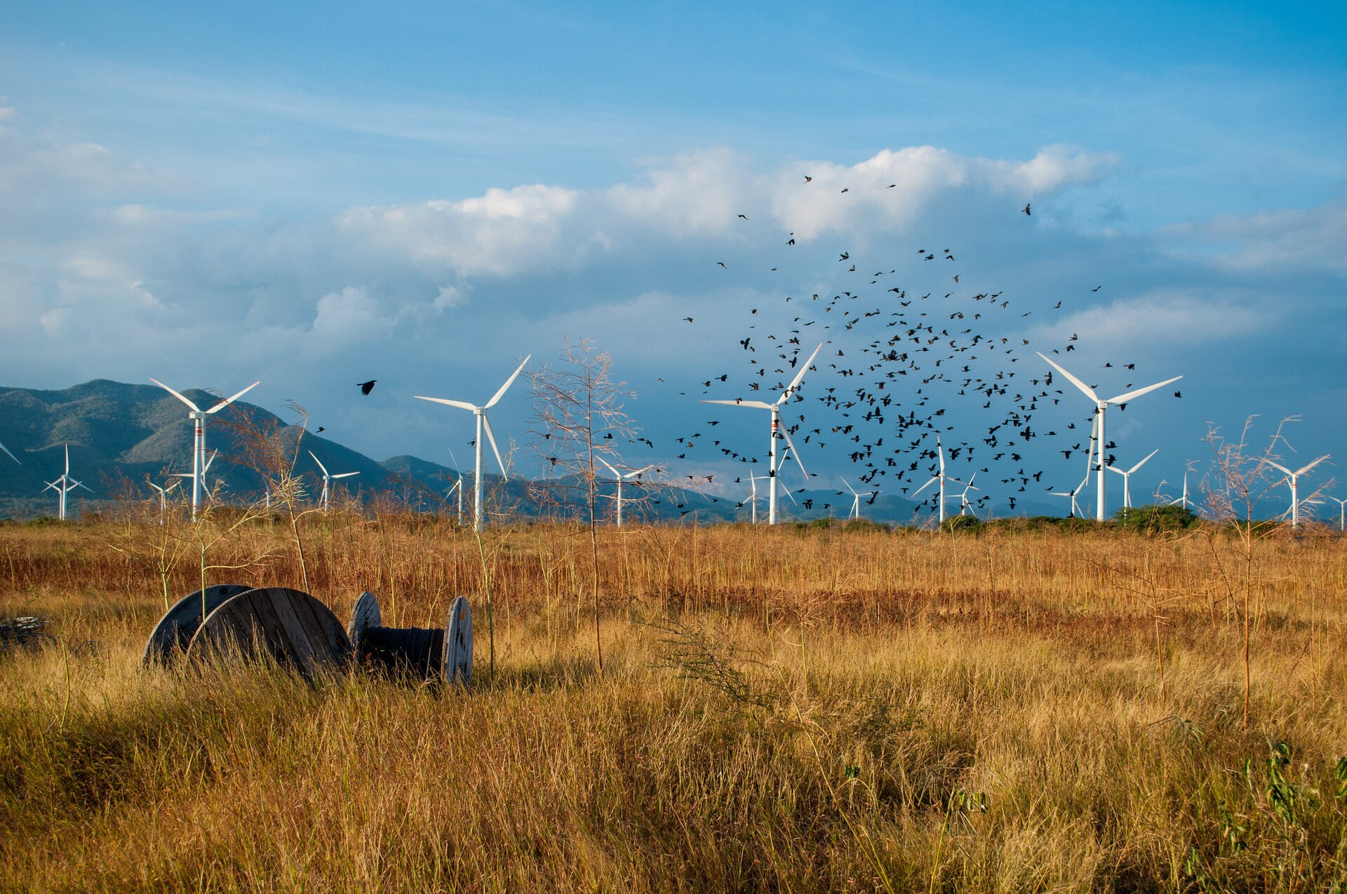 Mexico Eyes US$12.5B Solar and Wind Plan