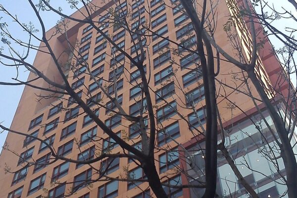 Terracotta-coloured high-rise headquarters of Mexico's Foreign Ministry in Mexico City, seen from below through bare tree branches