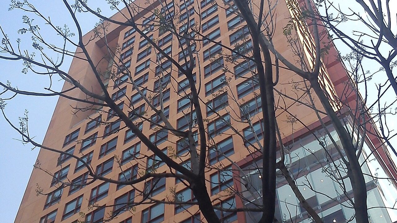 Terracotta-coloured high-rise headquarters of Mexico's Foreign Ministry in Mexico City, seen from below through bare tree branches