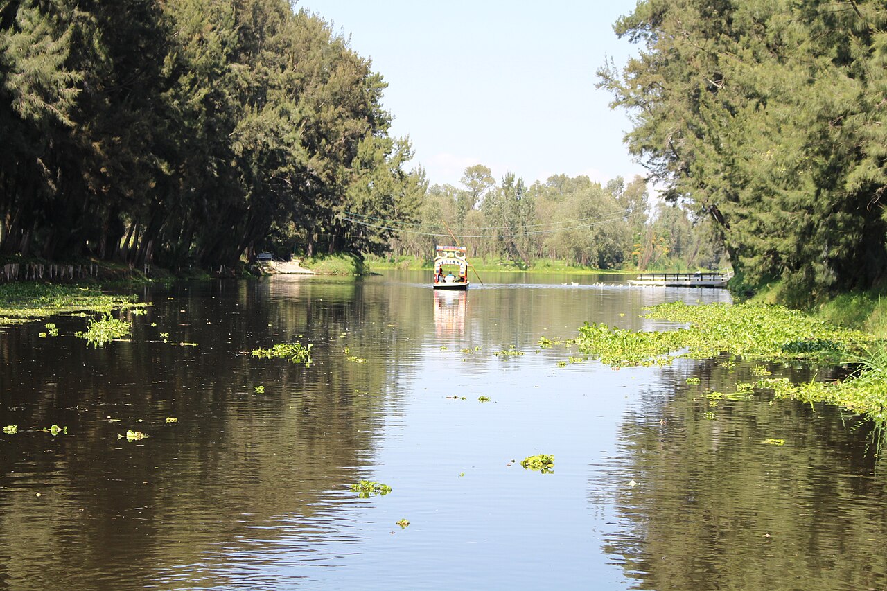 A colourful trajinera boat travels down a wide, tree-lined canal in Xochimilco, with water plants floating on the surface