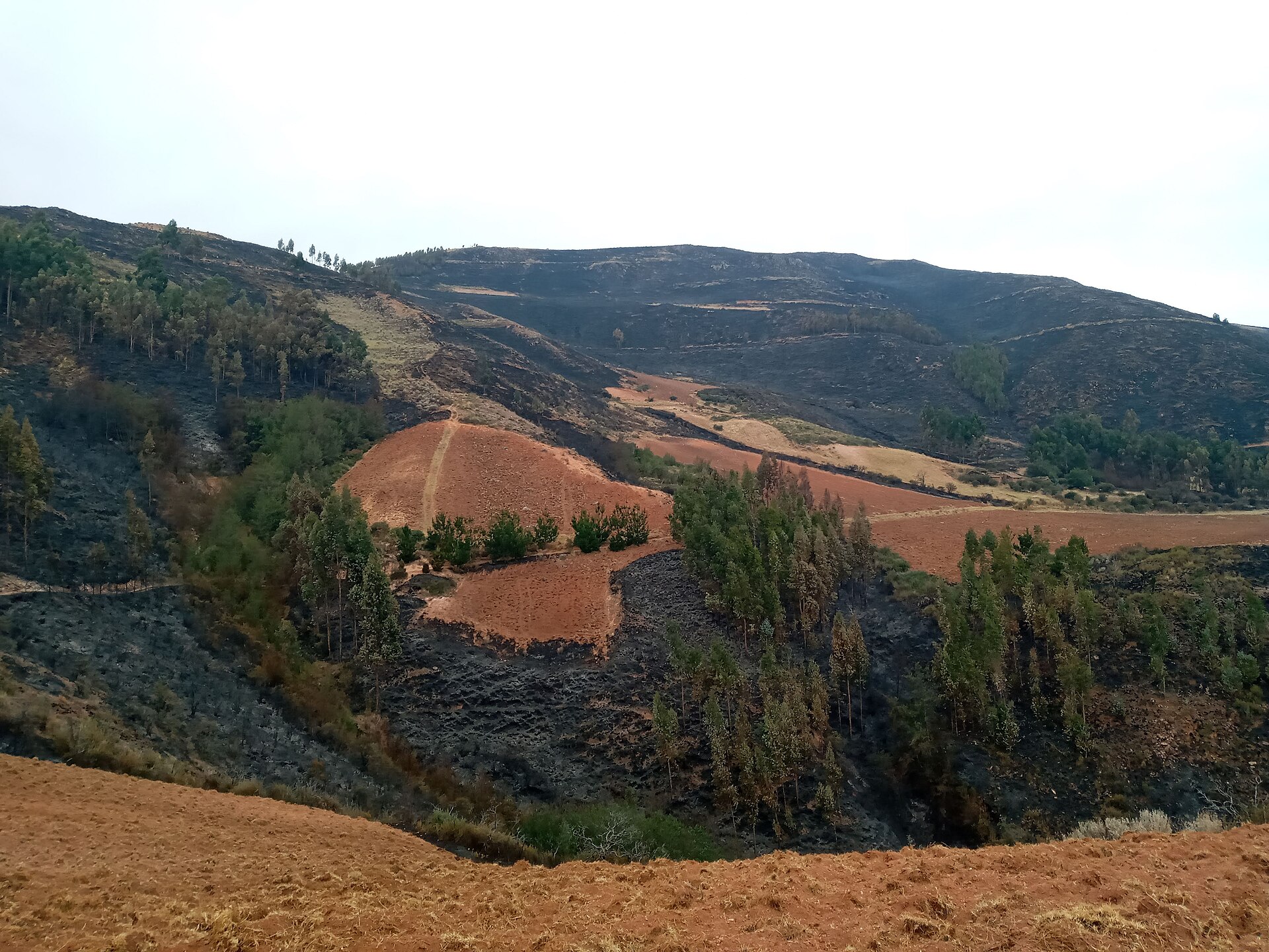 Blackened, burned hillsides above terraced farmland in the Peruvian Andes under a grey sky