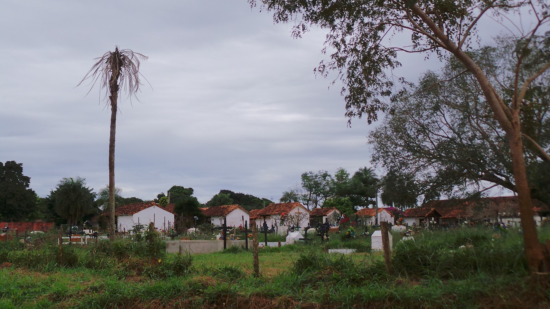 Whitewashed tombs with red tile roofs and crosses in a grassy cemetery under a grey sky, Concepción, Bolivia