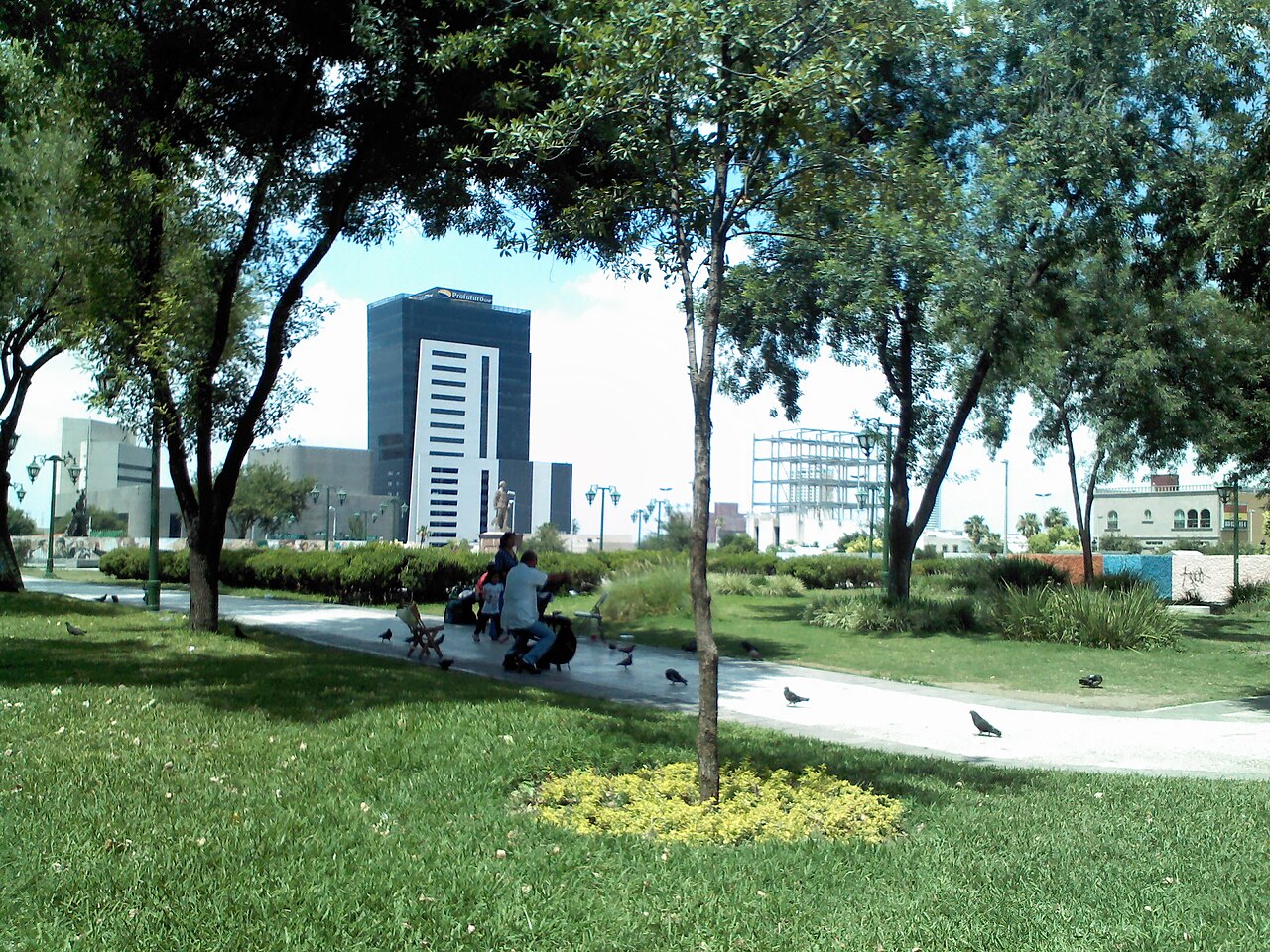 Families and pigeons on a path in a green plaza of the Macroplaza in central Monterrey, with an office tower behind the trees