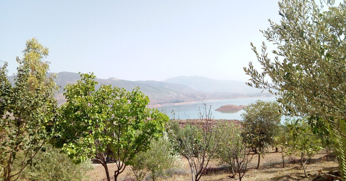 The Bin el Ouidane reservoir in Azilal province, Morocco, seen through olive and fruit trees