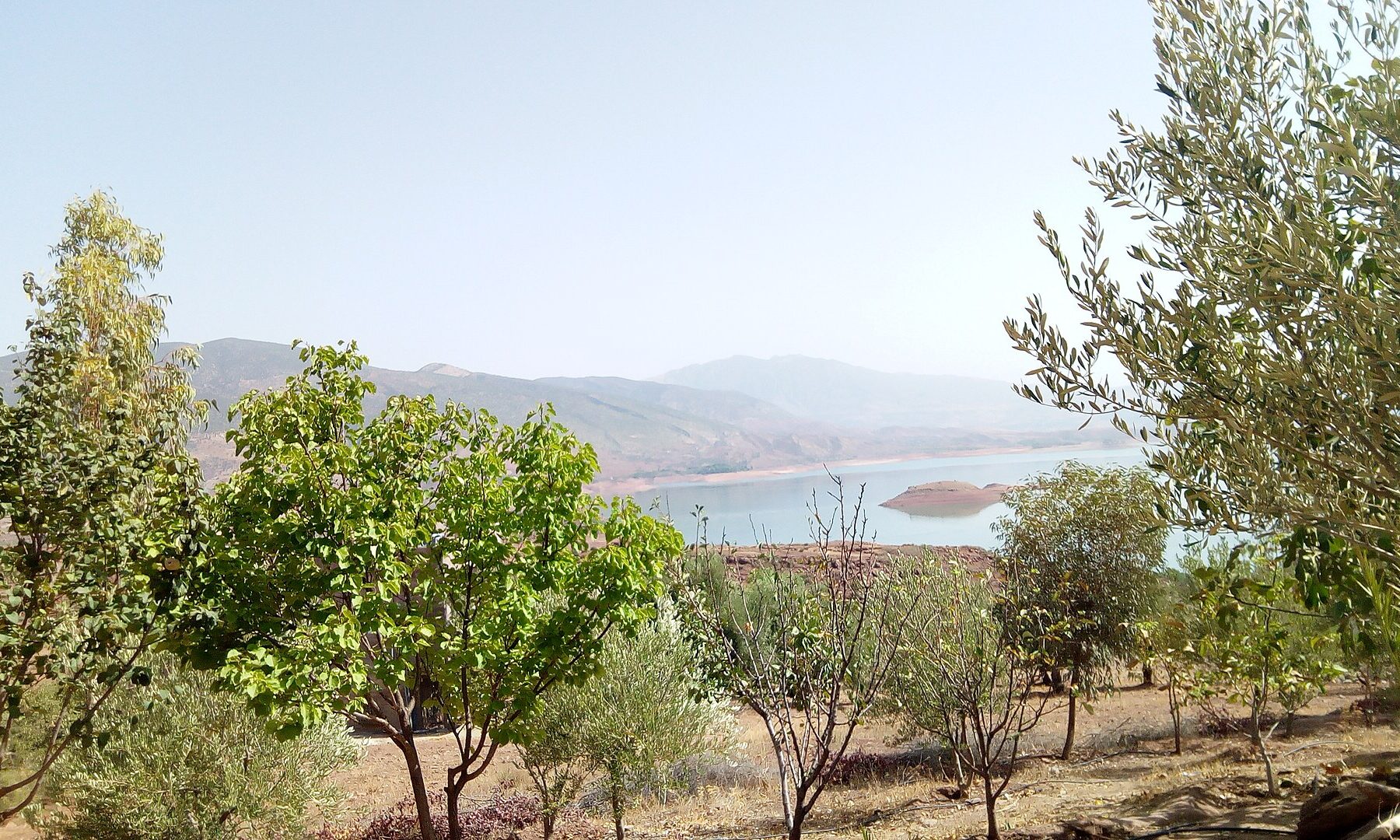 The Bin el Ouidane reservoir in Azilal province, Morocco, seen through olive and fruit trees
