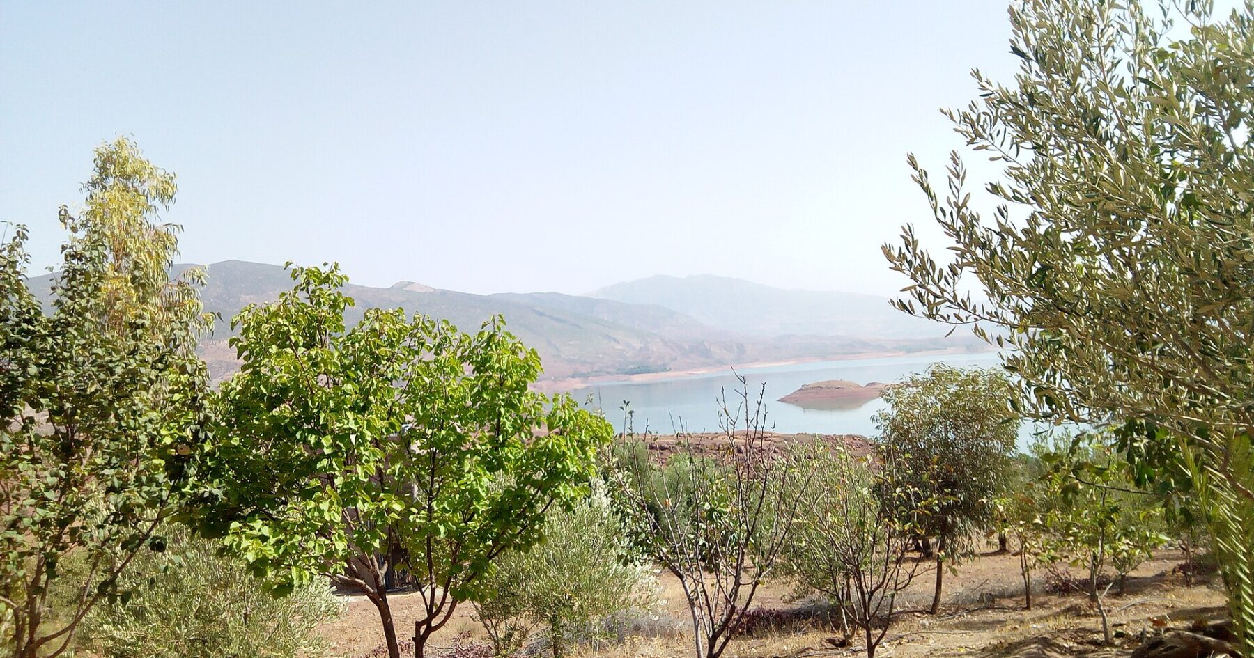 The Bin el Ouidane reservoir in Azilal province, Morocco, seen through olive and fruit trees