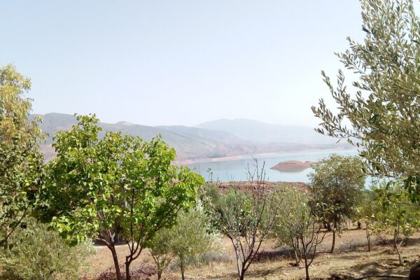 The Bin el Ouidane reservoir in Azilal province, Morocco, seen through olive and fruit trees