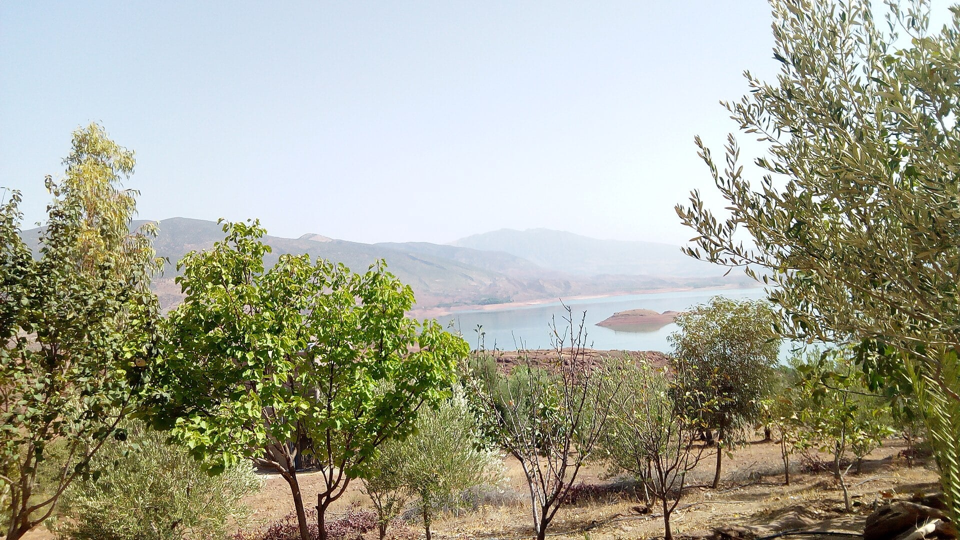 The Bin el Ouidane reservoir in Azilal province, Morocco, seen through olive and fruit trees