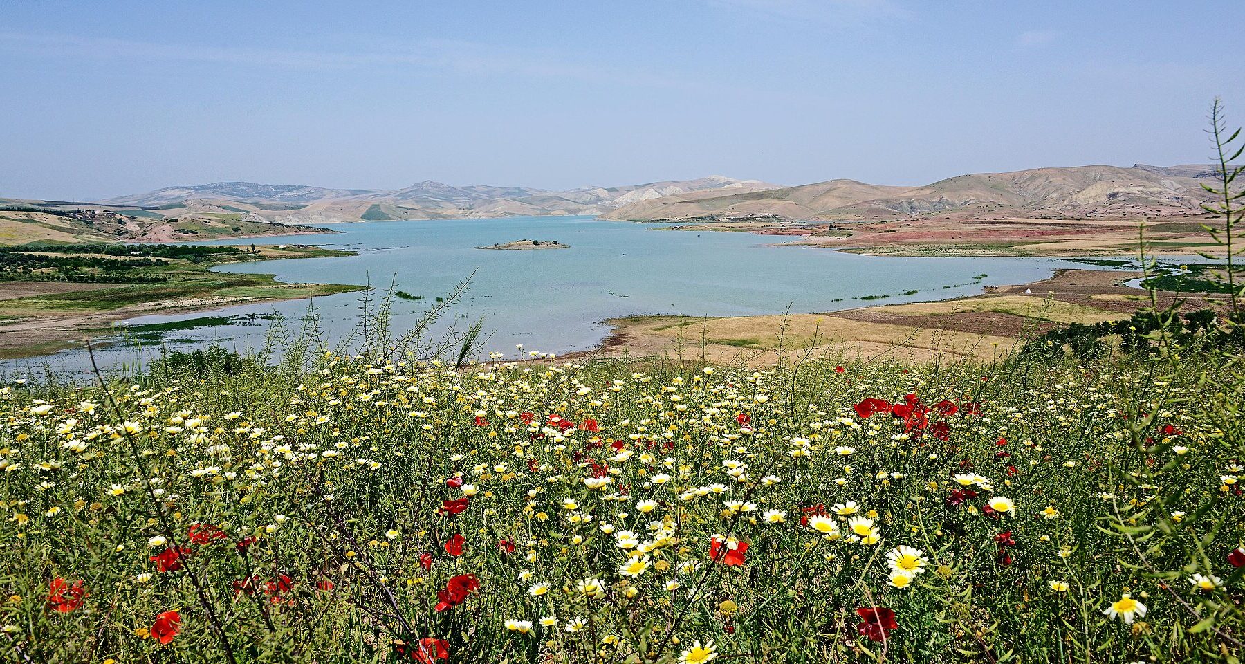 The reservoir of the Sidi Chahed dam in Morocco's Fez-Meknes region, with wildflowers in the foreground and bare hills behind