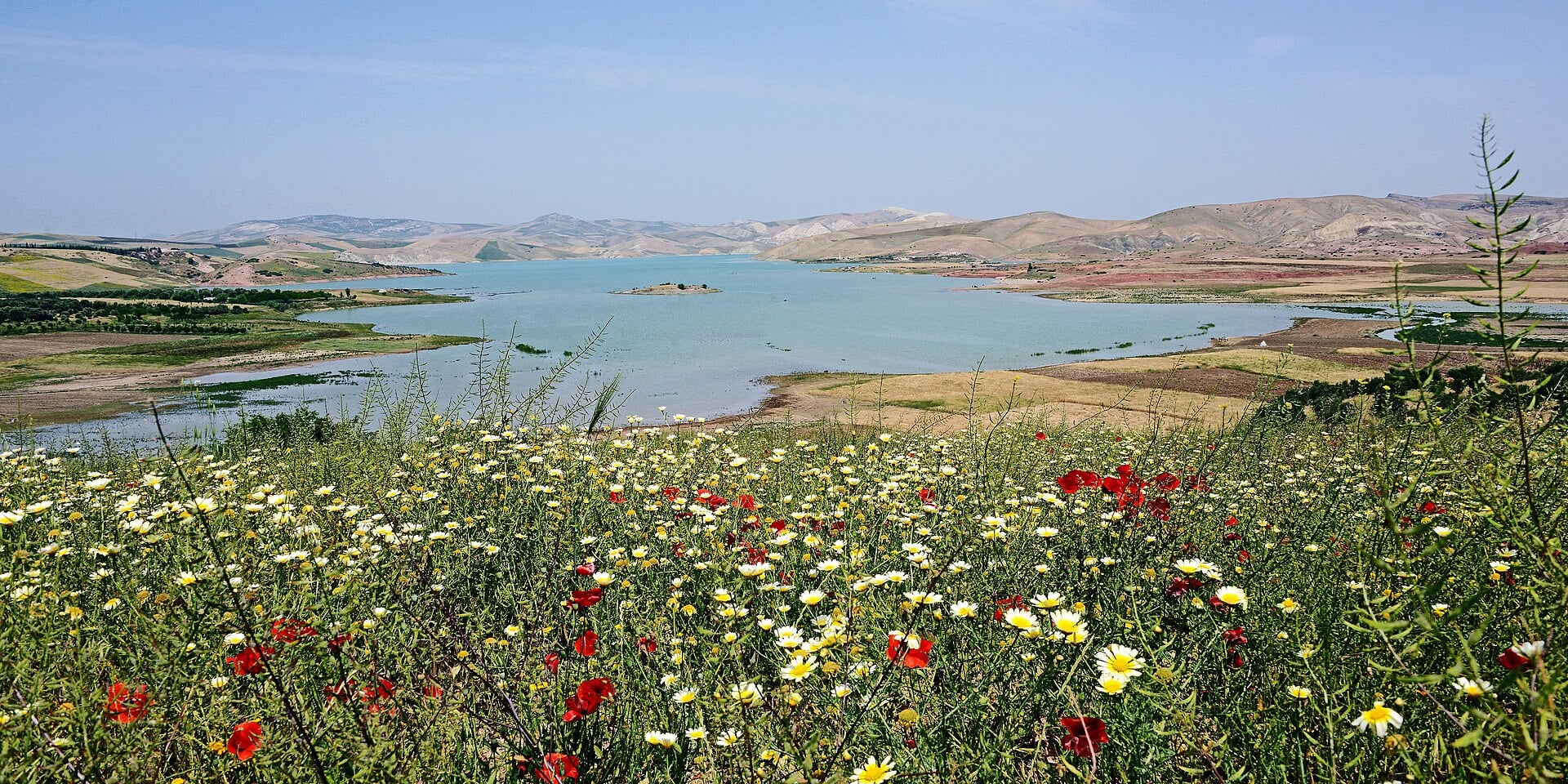 The reservoir of the Sidi Chahed dam in Morocco's Fez-Meknes region, with wildflowers in the foreground and bare hills behind
