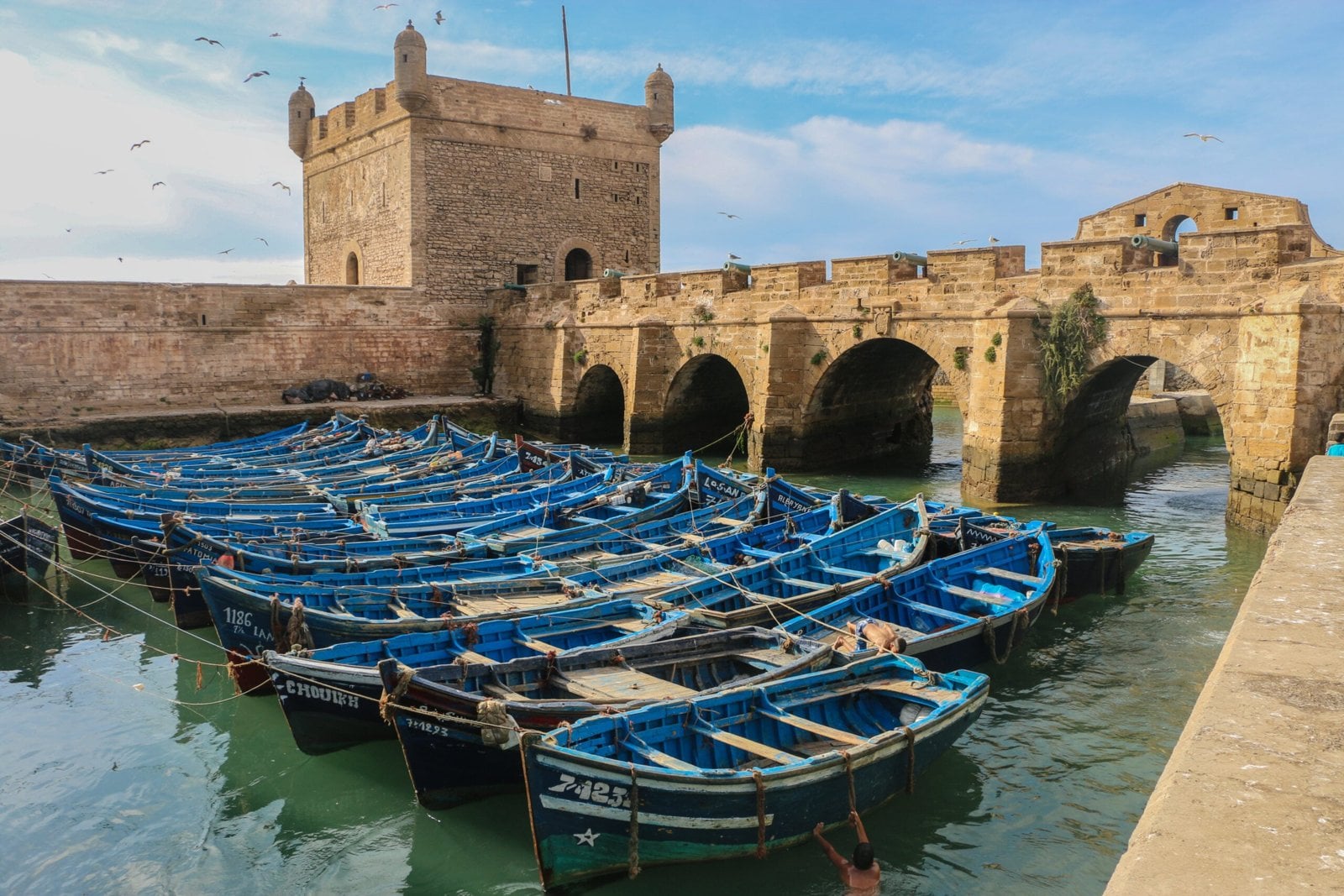 Blue fishing boats moored in front of the old sea fortress of Essaouira on Morocco's Atlantic coast