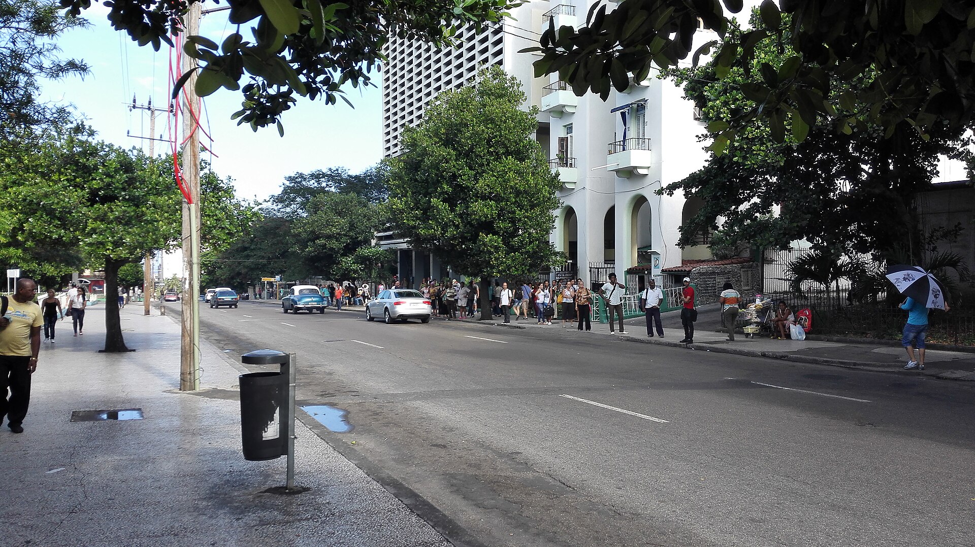 People waiting along a tree-lined street in the Vedado district of Havana