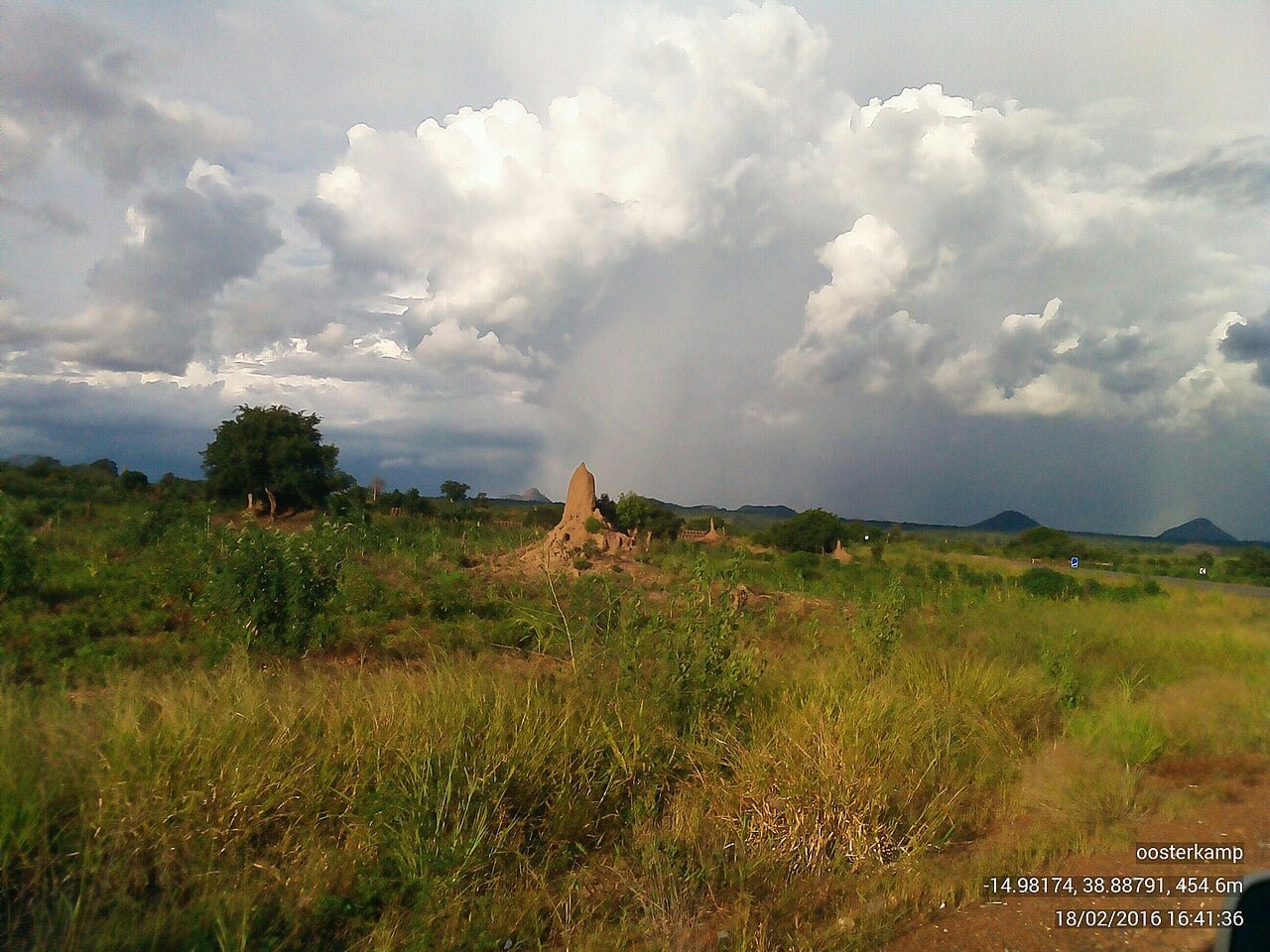 Green bush and a termite mound under towering storm clouds on a road near Nampula in northern Mozambique