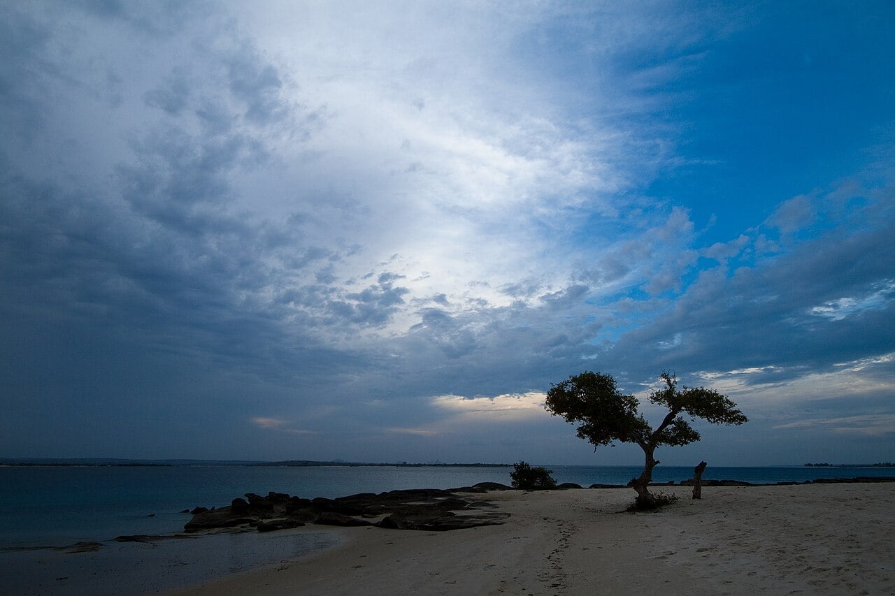 A lone tree on a sandy beach at Nacala Bay in northern Mozambique under a dramatic cloudy sky